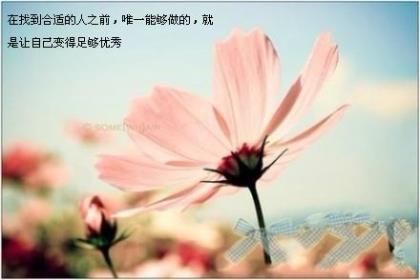 经典对联大全带横批 恨别人是自己的巨大损失
