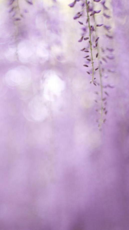 让人心酸想哭的说说配图 如果你嫉妒别人,你就