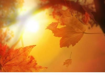 醉在灯里看剑，梦回来吹号连队