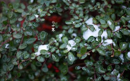 关于心情不好的句子 好的签名句子