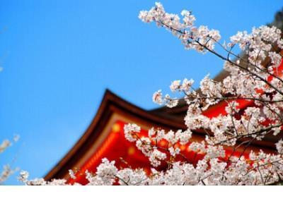 被人喜欢是不好的