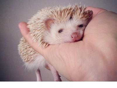 被人喜欢是不好的