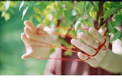 每天励志正能量早安语