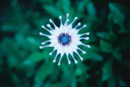 说说朋友圈励志短语 2020年励志朋友圈说说