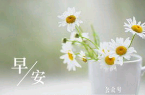 没有句子的早安图片
