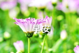 佛语早安正能量句子