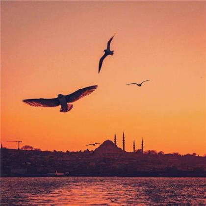 快过年了的幽默句子 马上过年工作励志语录