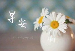 生日感言唯美句子早安心语