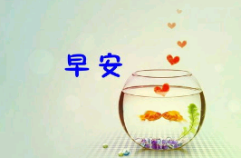 早安句子公司
