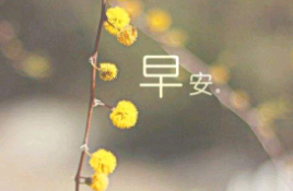 早安句子2020最新