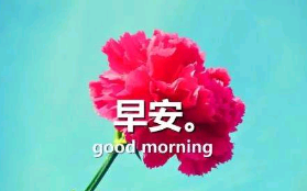早安语录适合发微信群早安的句唯