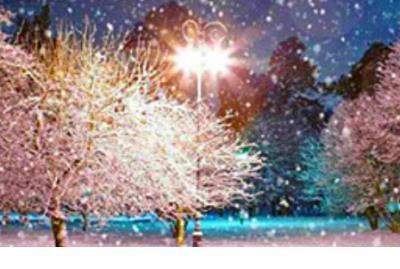 关于爱的名言排比句 小学生