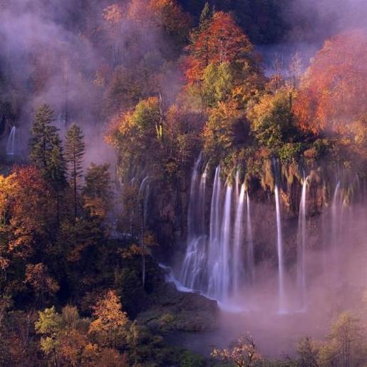 关于爱的名言排比句 小学生