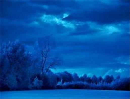 早安励志说说正能量 又丧又励志的句子