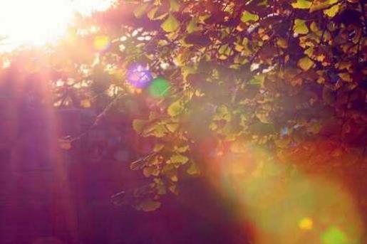 形容自作多情热脸贴冷屁股的句子 只要你不认输