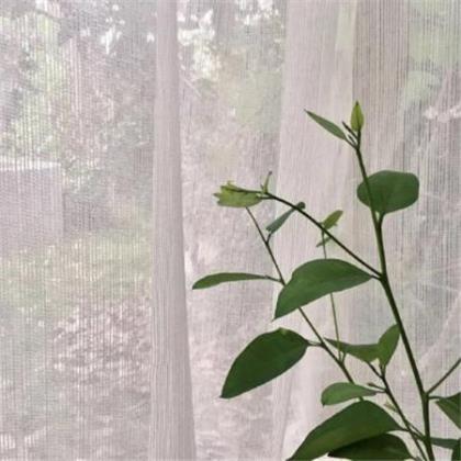 形容自作多情热脸贴冷屁股的句子 只要你不认输