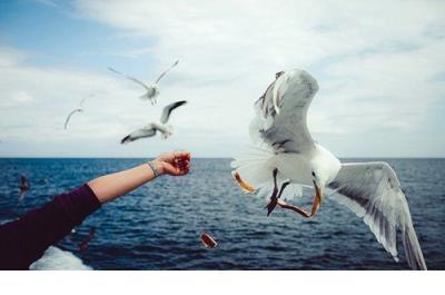 下雨天的心情说说伤感