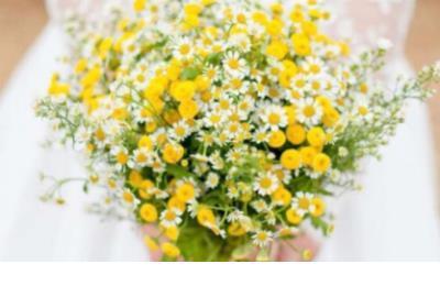 情侣签名唯美简短 古风情侣说说短句