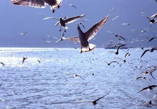 抖音短句子八个字 写生