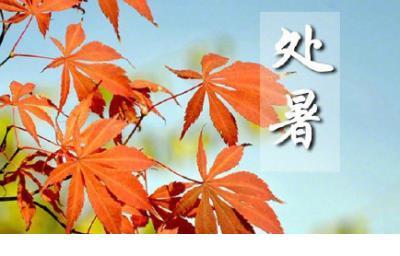 叫人早安的句子 励志女人早安短句子