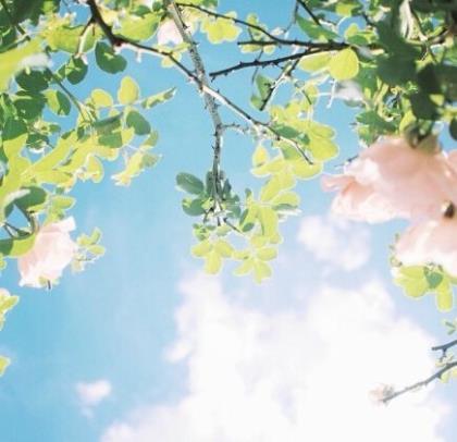 关于come的短语 给爱妻的甜蜜短语