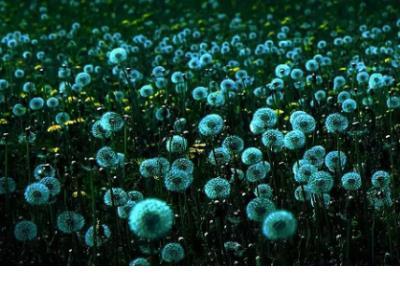 很甜很撩的句子套路 撩妹短句子大全