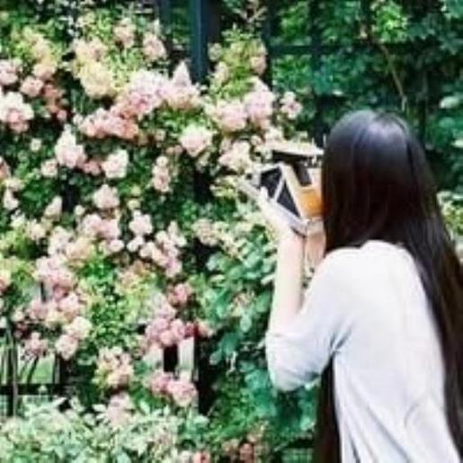 吸引人的朋友圈签名 治愈系个性签名