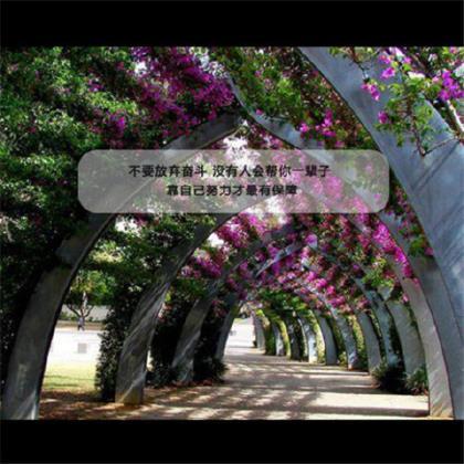 没人能真正体会到你的痛苦