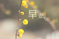 关于早安的唯美句子加图片下载