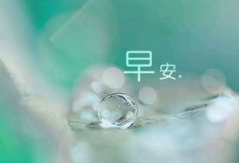 天气好的早安句子