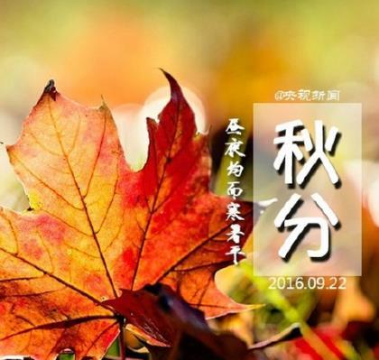 我欠的时间太多了