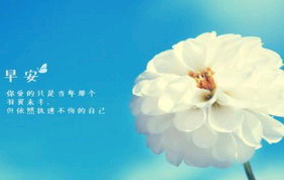 一些早安正能量的句子