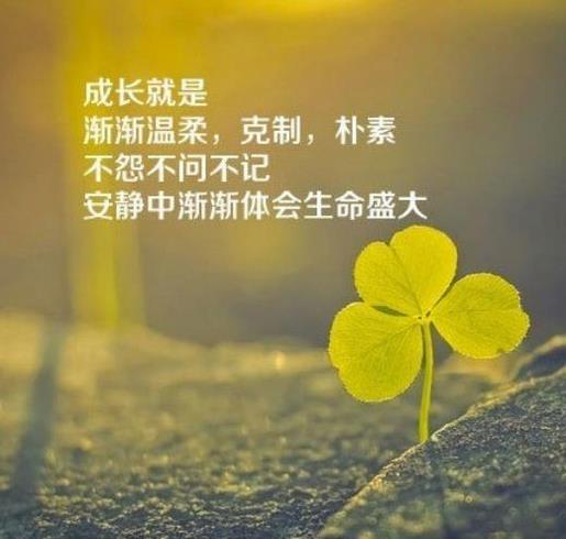 阳光早安说说心情短语 女人早安励志霸气语录经