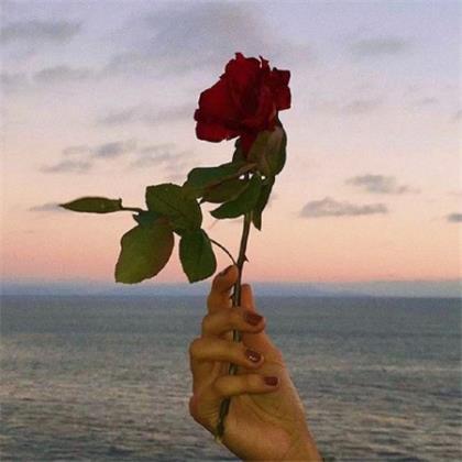 适合一个人的说说心情短语 睡前心情说说感悟生