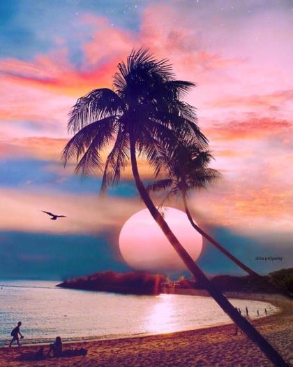 生活原本不易励志短句