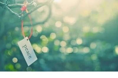 满地银杏叶说说 看银杏树的朋友圈说说