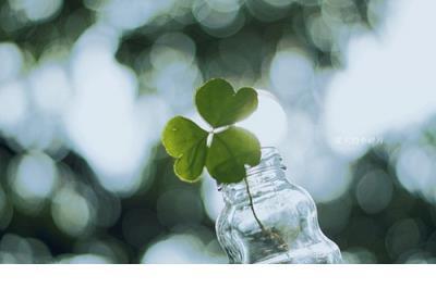 励志短句文字图片 时间在走，年龄在增长