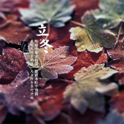 激励团队正能量的照片 励志短句子大全