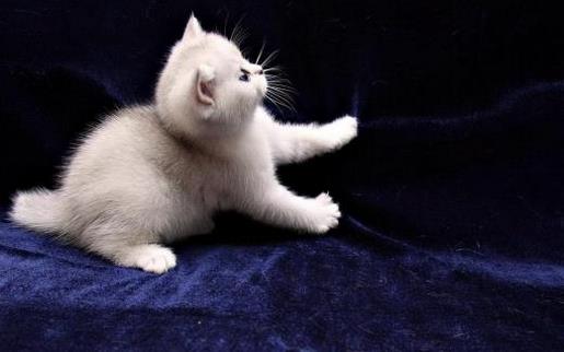 考试励志语录短句 临近考试的励志说说