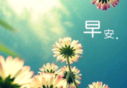 早安经典的句子说说心情