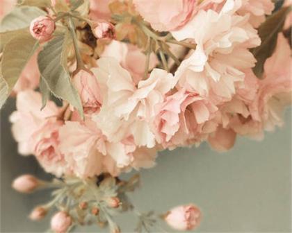 正能量励志语录短句 抖音说说短语励志