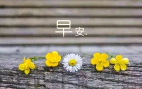 跟老婆说早安句子