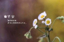 新的一天新激励人句子早安