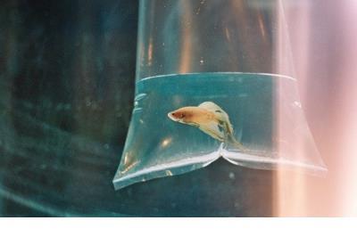 正能量句子励志 奋斗励志的句子