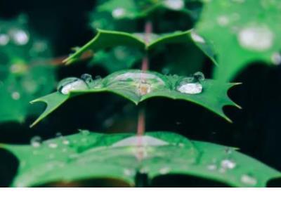 进修结束发朋友圈的说说