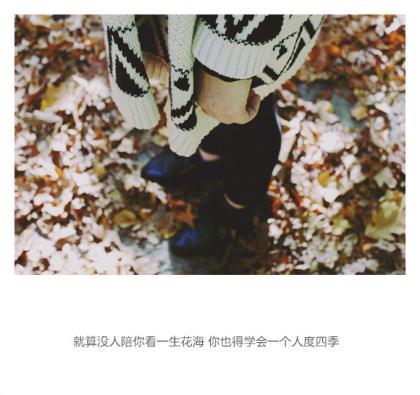 难过的句子说说心情 对老公心寒绝望的句子