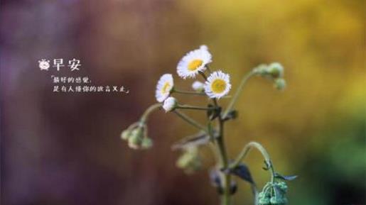 微信怎么发朋友圈不带图片