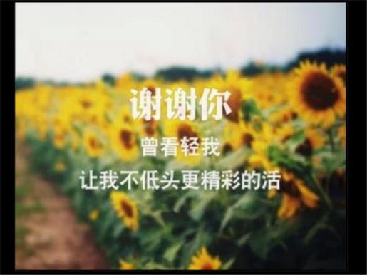 孤单的签名说说心情 “你的嘴唇裂开了