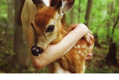 女生心情不好的安慰话 百合花的语录心情短语
