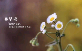 早安的小句子大全